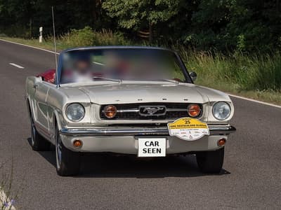 1966 Ford Mustang
