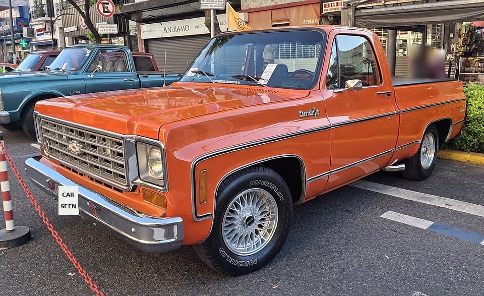 1976 Chevrolet C-10