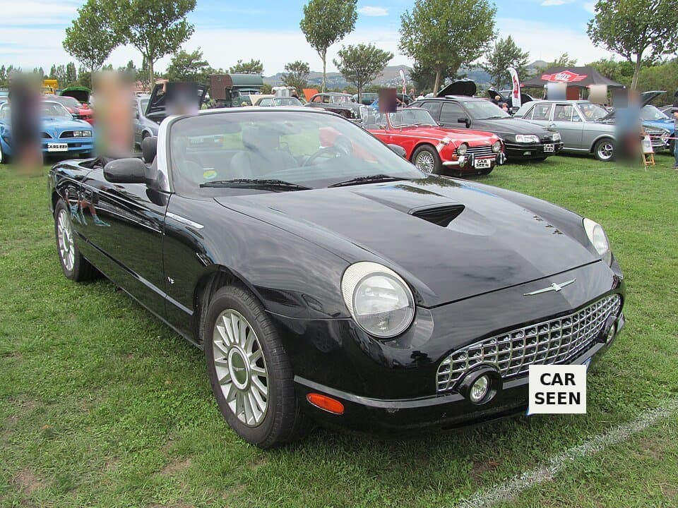 2004 Ford Thunderbird