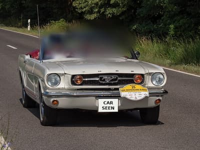 1966 Ford Mustang