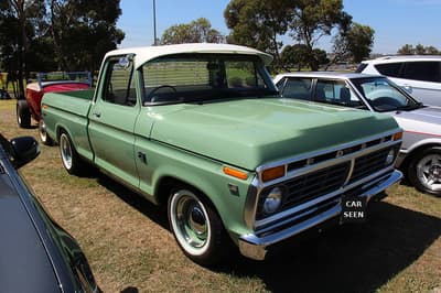 1973 Ford F100