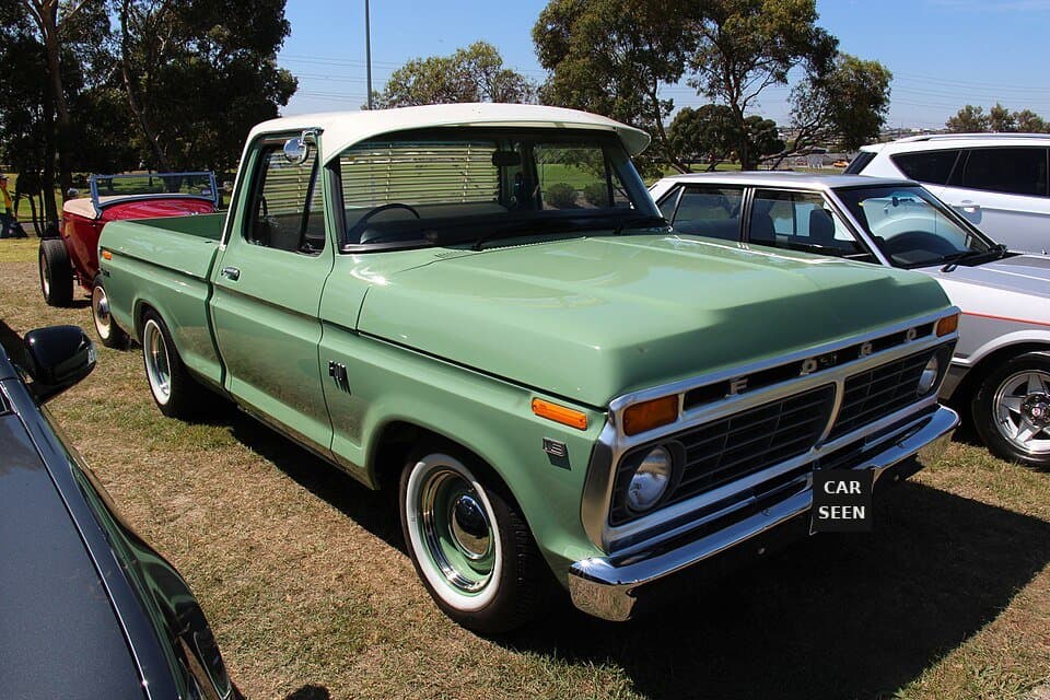 1973 Ford F100