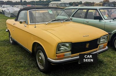 1971 Peugeot 304