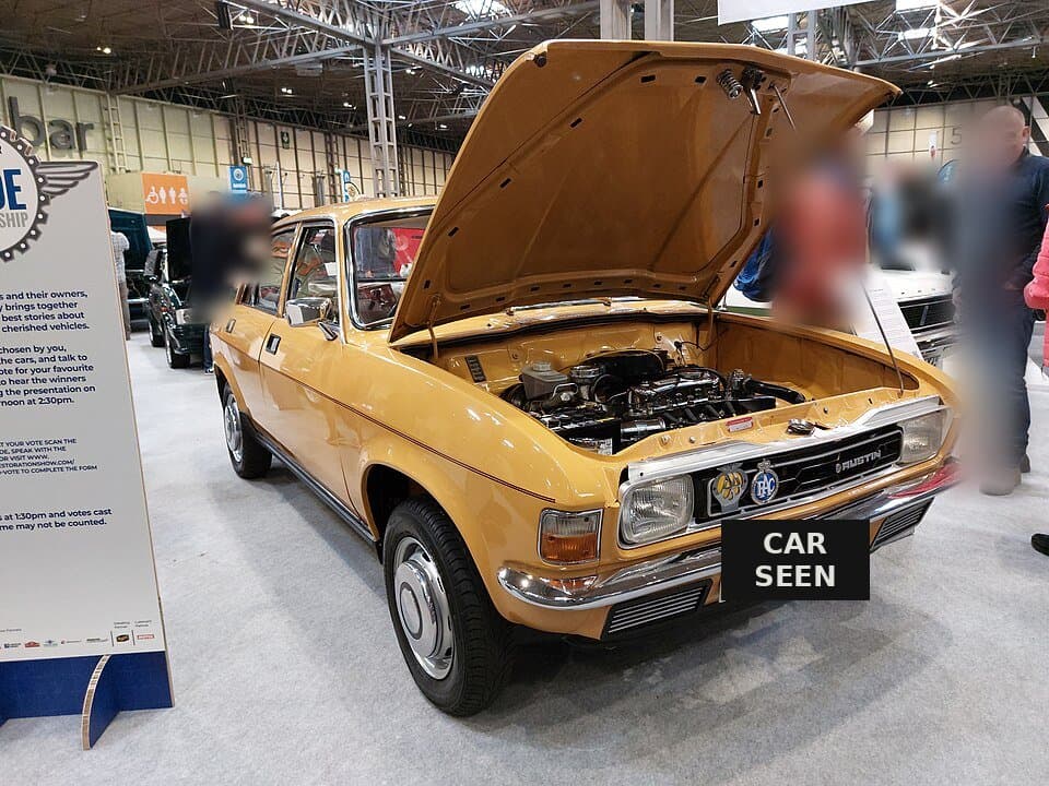 1979 Austin Allegro