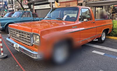 1976 Chevrolet C-10