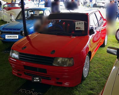 1989 Peugeot 309