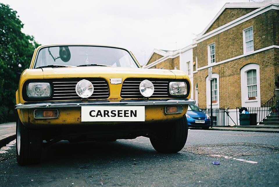 1979 Triumph 1300